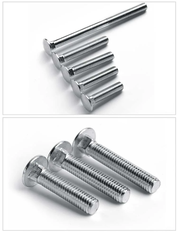 Galvanized &amp; Stainless Steel SUS304/316 (A2/A4) Round Head Square Neck Carriage Bolts