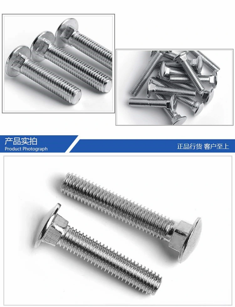 Galvanized &amp; Stainless Steel SUS304/316 (A2/A4) Round Head Square Neck Carriage Bolts