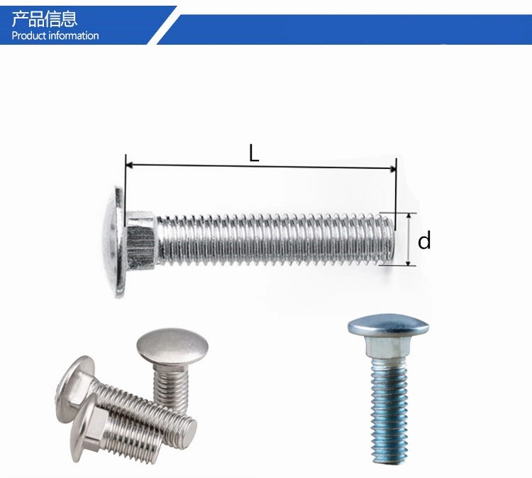 Galvanized &amp; Stainless Steel SUS304/316 (A2/A4) Round Head Square Neck Carriage Bolts