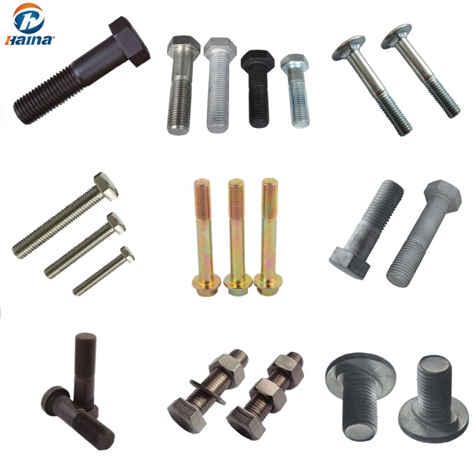 Stainless Steel Hex Bolt/Carriage Bolt/Anchor Bolt/Flange Bolt/T Bolt/Square Head Bolt/Hex Socket Cap Screw/Square Bolt/Wing Bolt/Eye Bolt/Knurled Bolt/U Bolt