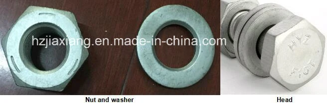 China Top Brand F10t/F8t Hsfg Bolt